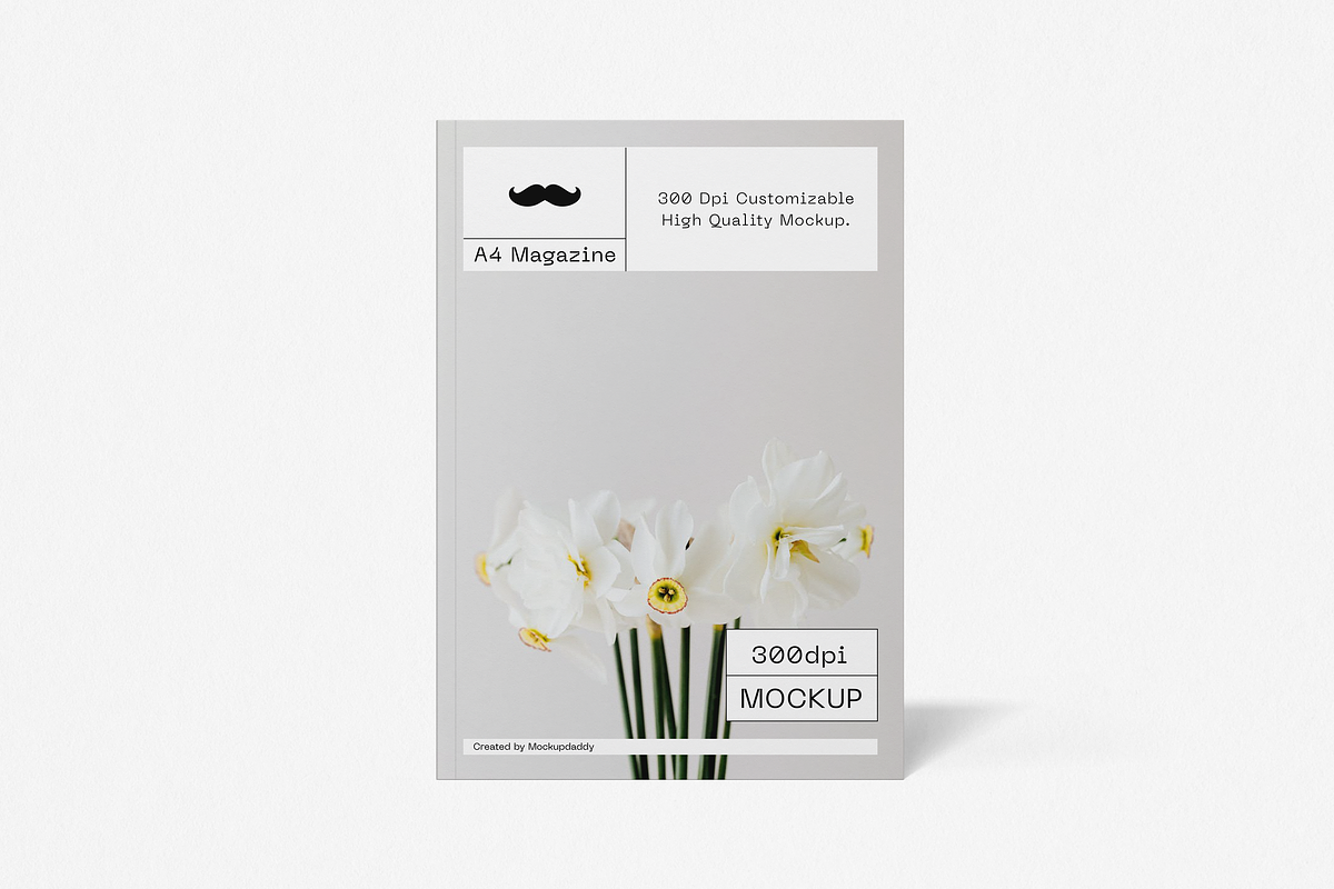 A4 Magazine Mockup, a Books & Magazine Mockup by Mockupdaddy (Photo 4 of 10)