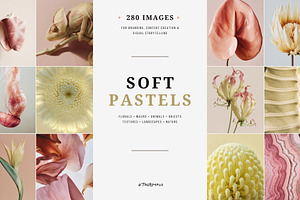 Soft Pastel Stock Photos Bundle 280, a Nature Photo by Tale.Haus