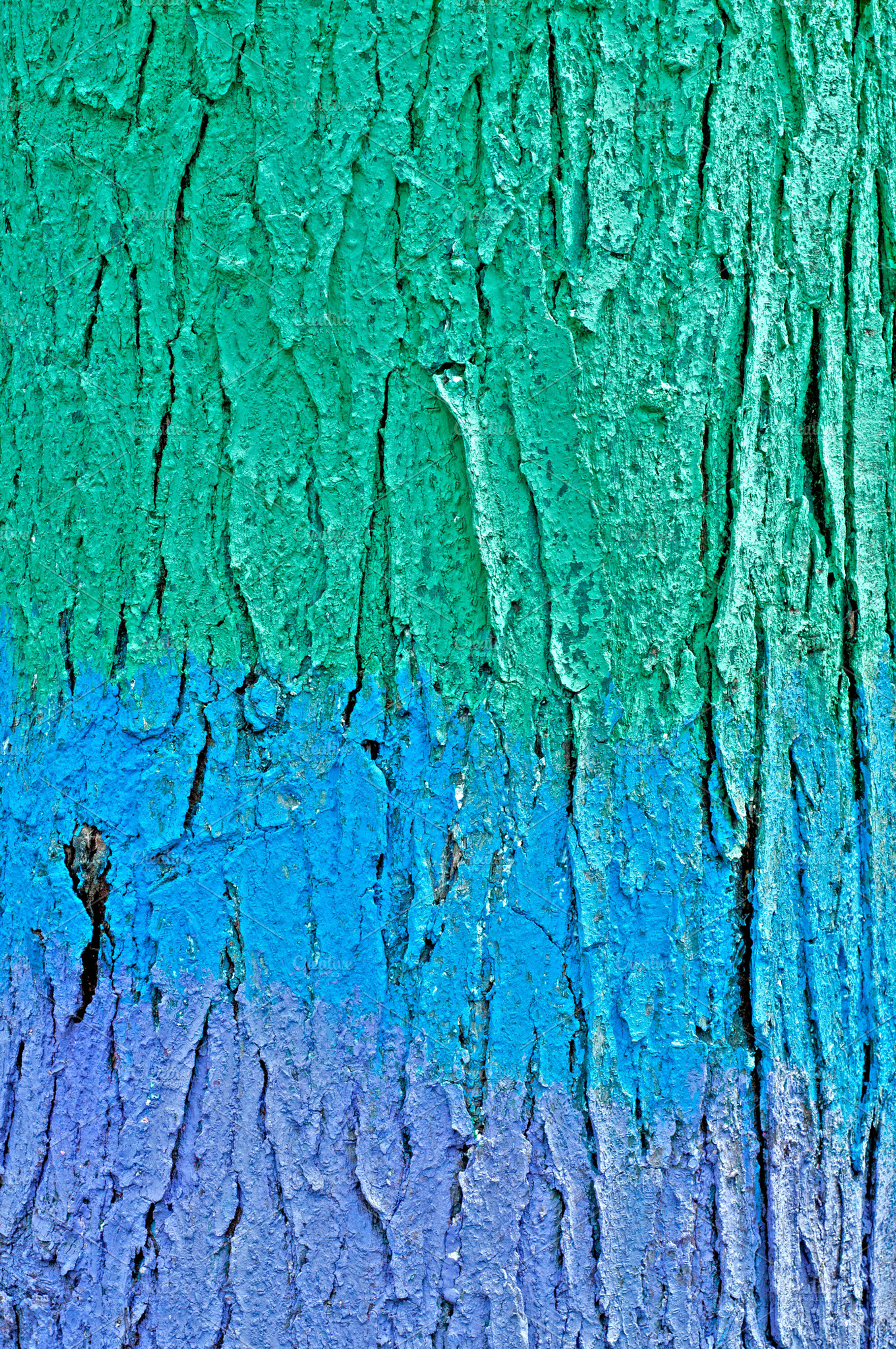 Tree featuring bark, tree, and paint