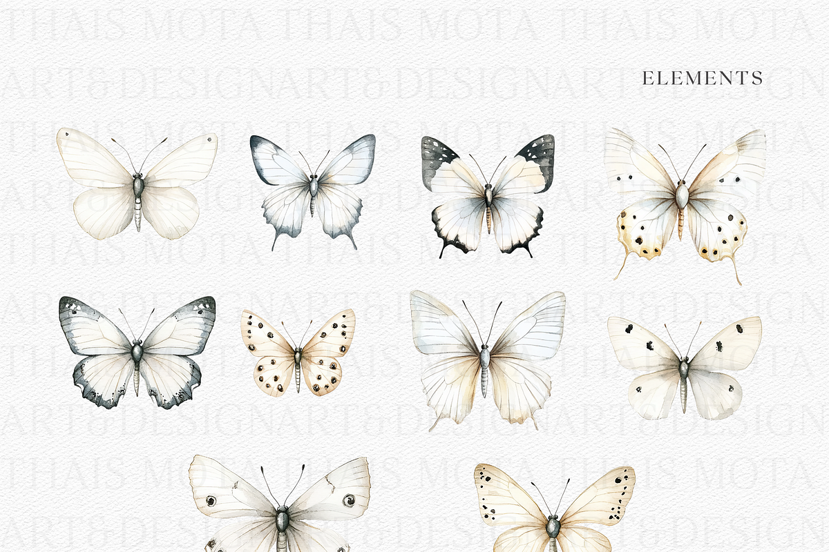 Watercolor White Butterflies, a Decorative Illustration by ThaismotaCreativeCo (Photo 2 of 5)
