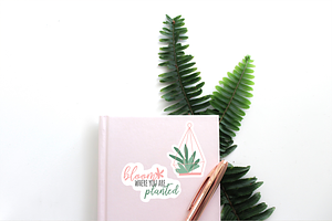 Succulents And Cactus Sticker Bundle