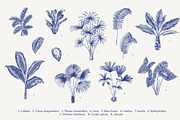 BLOOM. Chinoiserie inspired. B&W, a Decorative Illustration by olga.korneeva (Thumbnail 4 of 11)
