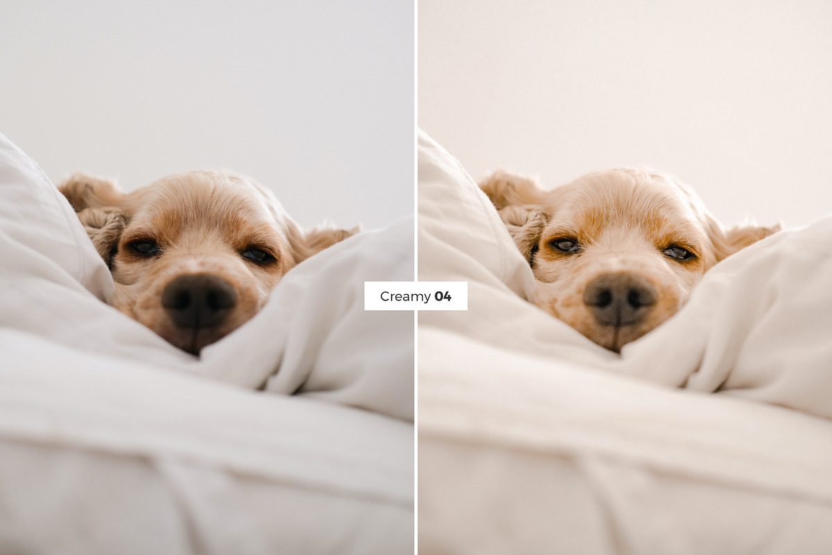 4 Lightroom Presets CREAMY, an Action Add-On by Graace Studio (Photo 8 of 8)