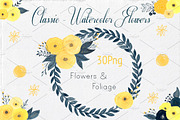 Watercolor Mega Bundle, an Illustration by Li Zamperini (Thumbnail 39 of 43)