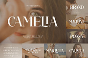 Popular Font Bundle Best Selling, a Serif Font by suhadidesign (Thumbnail 9 of 14)
