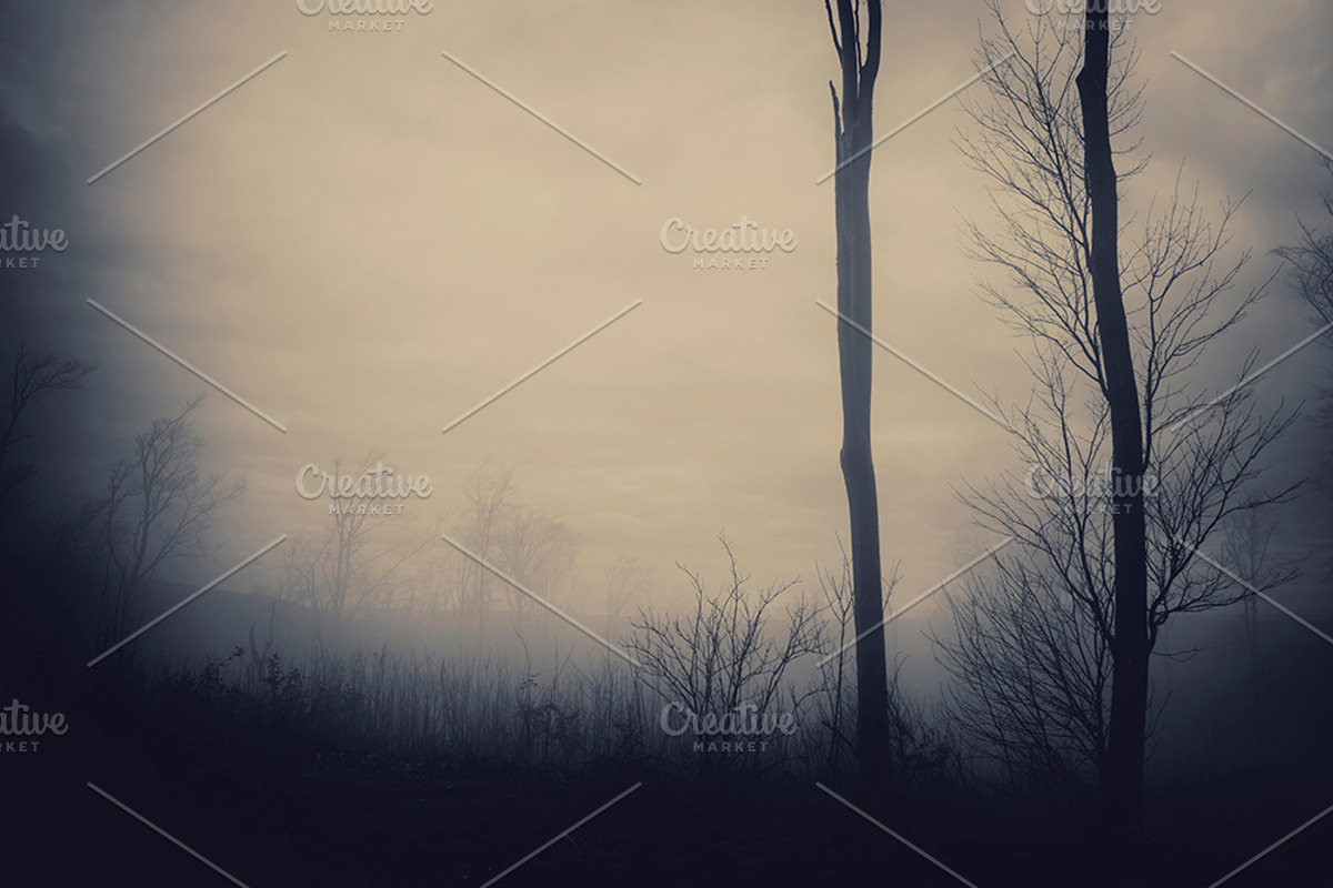 Halloween Forest pack 2018 Hi Res, a Nature Photo by Atmospheric visuals (Photo 6 of 11)