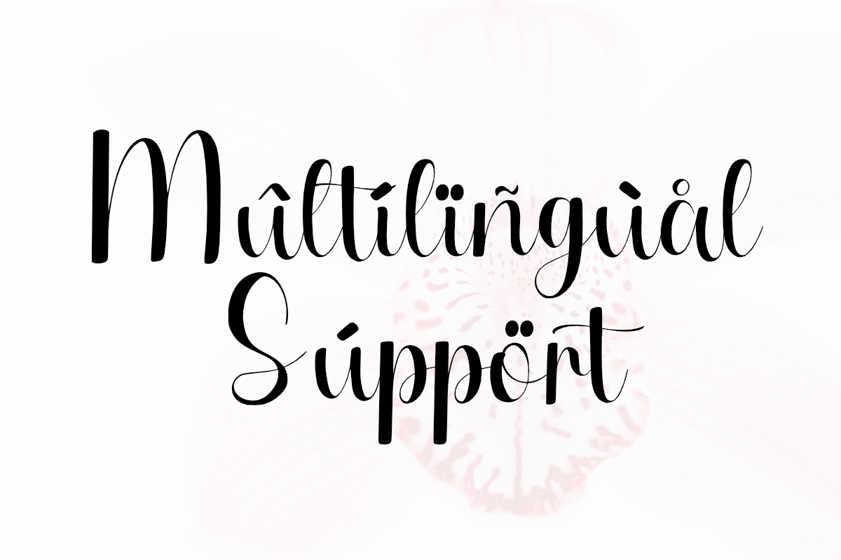 Meliora - Elegant Script Font, a Script Font by Letterayu Studio (Photo 4 of 6)