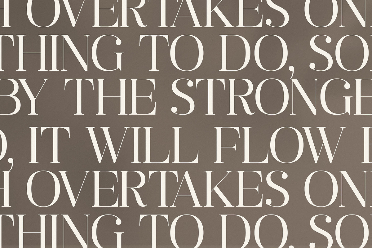 Ragiften Modern Serif Font, a Serif Font by Letterena Studios (Photo 6 of 15)