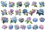 Hydrangea clipart, blue watercolor, a Decorative Illustration by ElenazlataArt (Thumbnail 2 of 8)