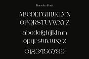 Bonuko - Modern Ligature Serif Font, a Serif Font by Iqsiart Studio (Thumbnail 7 of 16)