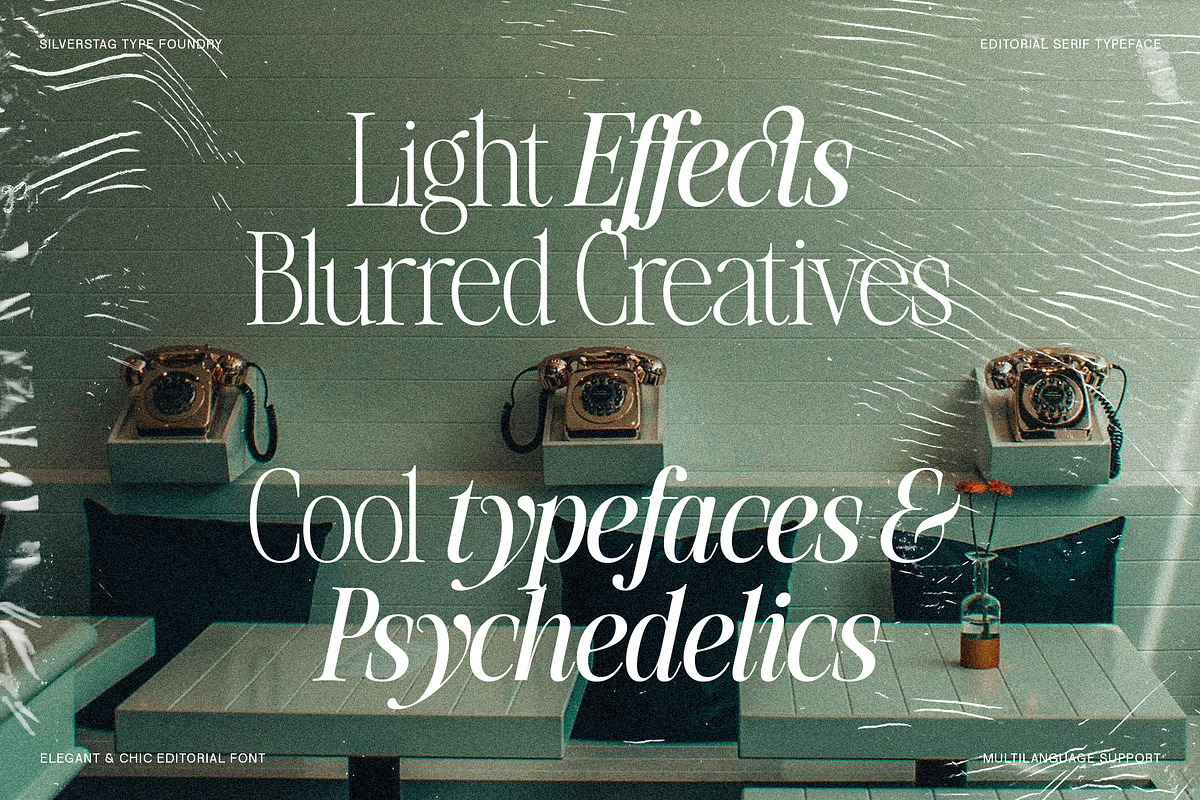 The Silver Editorial - 18 Fonts Pack, a Serif Font by SilverStag Type Foundry (Photo 7 of 30)