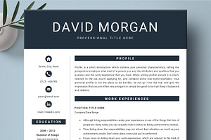 Rsum Template Professional Modern