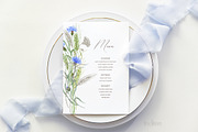 Knapweed and wildflowers collection, an Illustration by ReachDreams (Thumbnail 12 of 12)