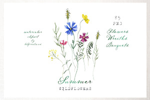 Wildflowers Summer Watercolors