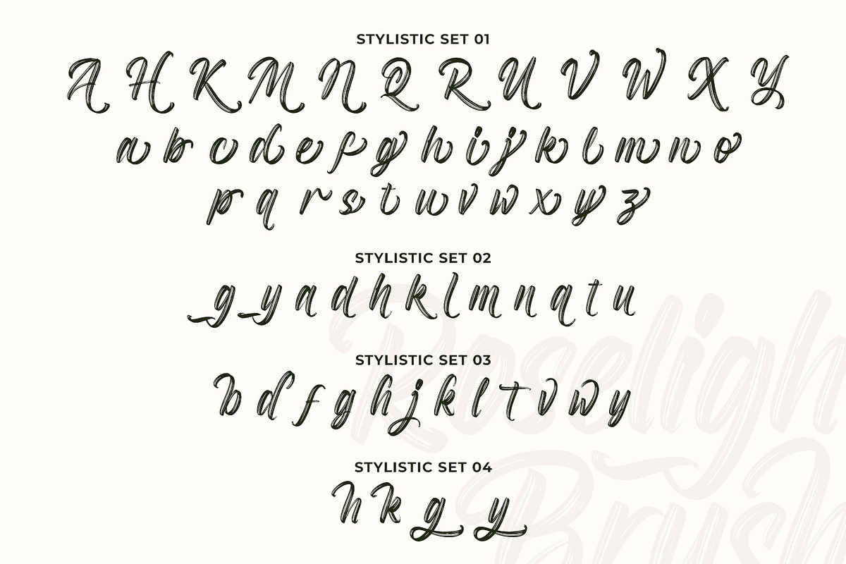 Roselight Brush, a Script Font by din-studio.com (Photo 10 of 16)