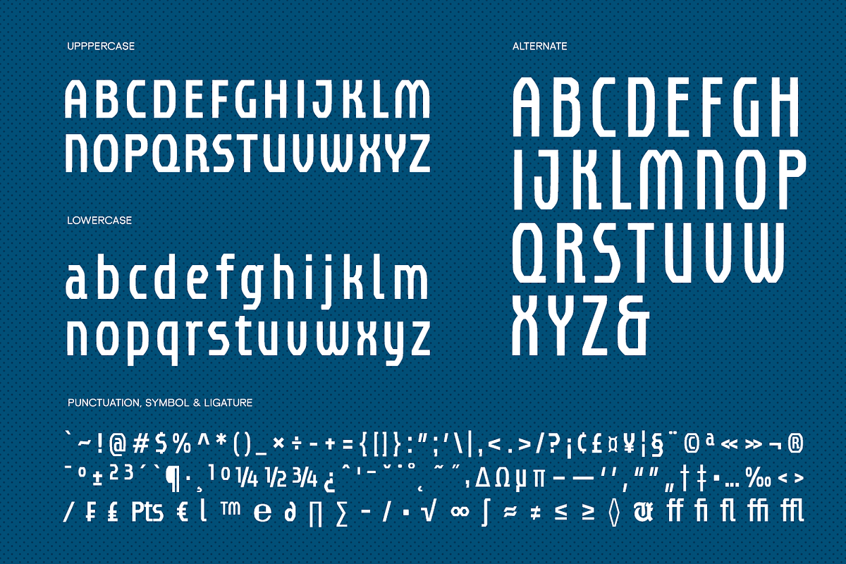 UT Unisportion FC Font Duo, a Sans Serif Font by Universitype (Photo 4 of 13)