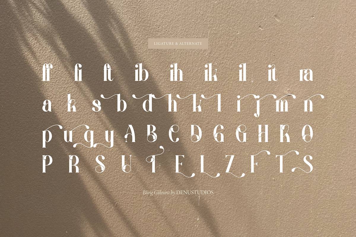 Bling Gilinira | Display Serif Font, a Serif Font by Denustudios (Photo 15 of 15)