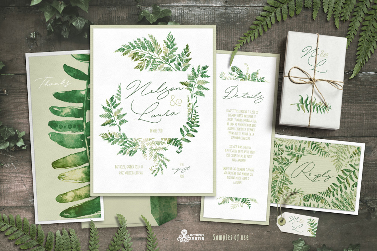 Fern Land. Watercolor Collection, an Illustration by OctopusArtis (Photo 7 of 8)