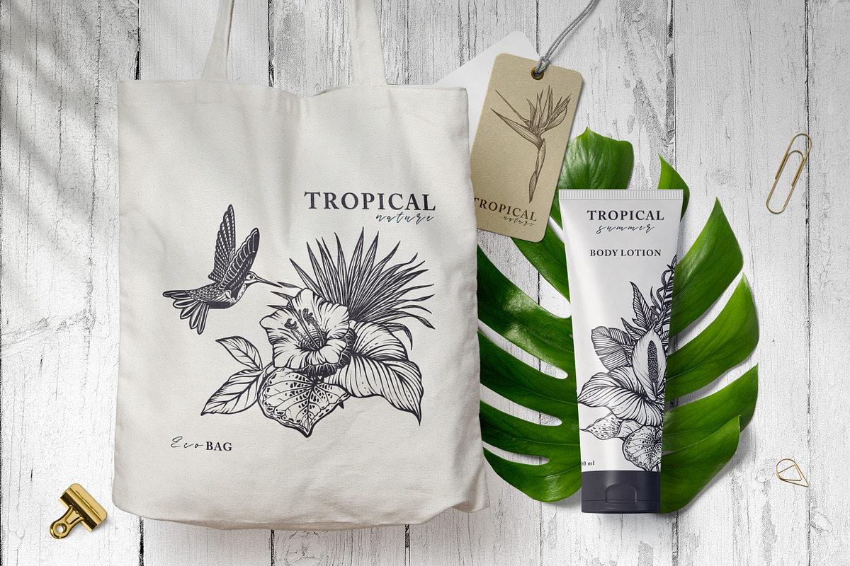 Tropical nature vector set, an Animal Illustration by Molly art (Photo 8 of 15)