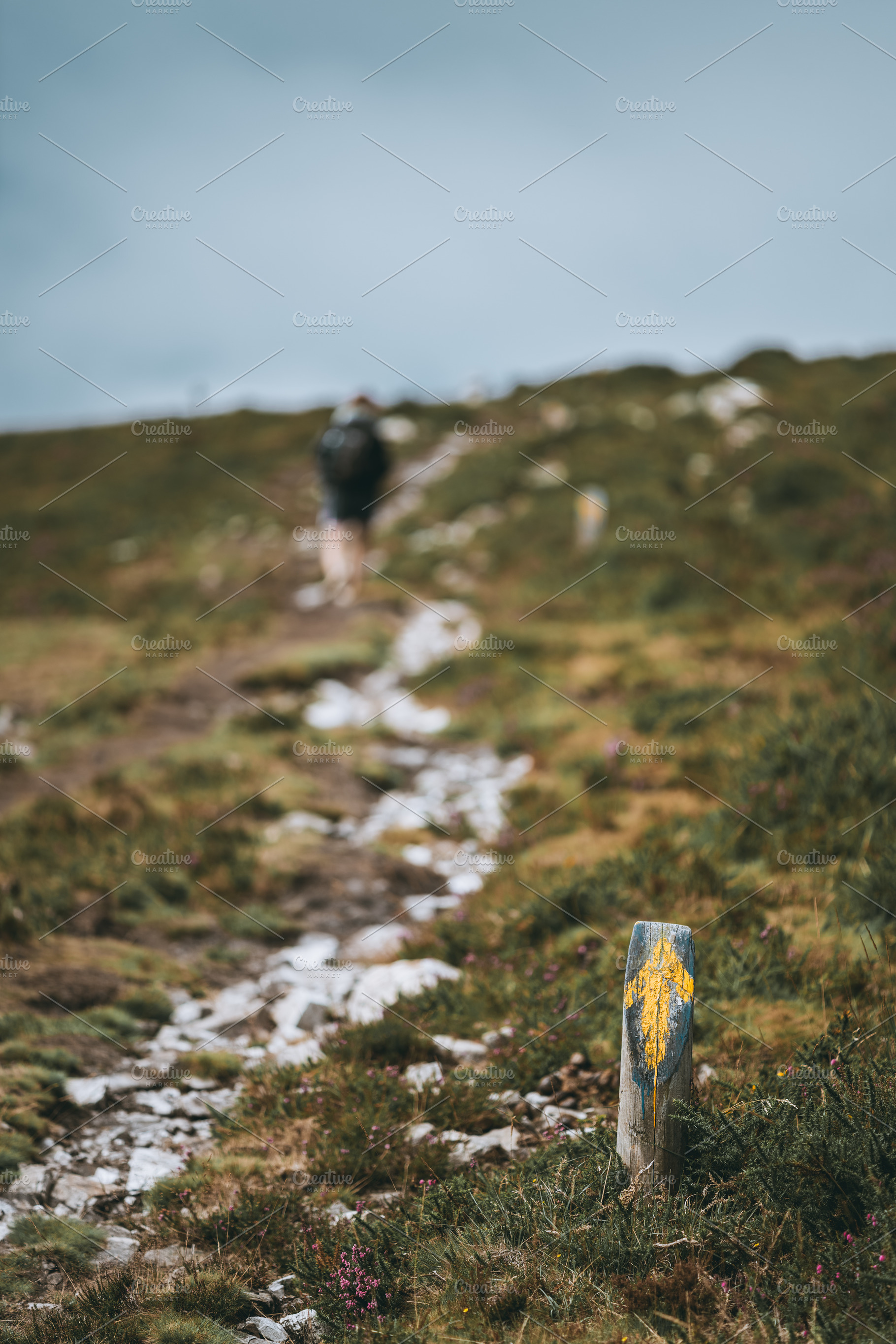 Camino Primitivo trail marker, a Person Photo by SkyNext