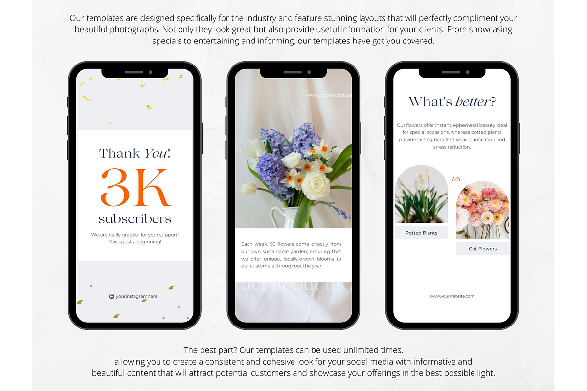100 Floral Shop Social Media Stories, a Social Media Template by PatternLab. (Photo 5 of 9)