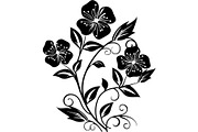 Elegant Botanical Flower Silhouette, an Object Graphic by Designer_Momina (Thumbnail 15 of 16)