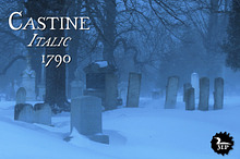 Castine (family)