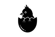 Cute Easter Chick Hatch Vector Bundl, an Illustration by jahid234 (Thumbnail 9 of 51)