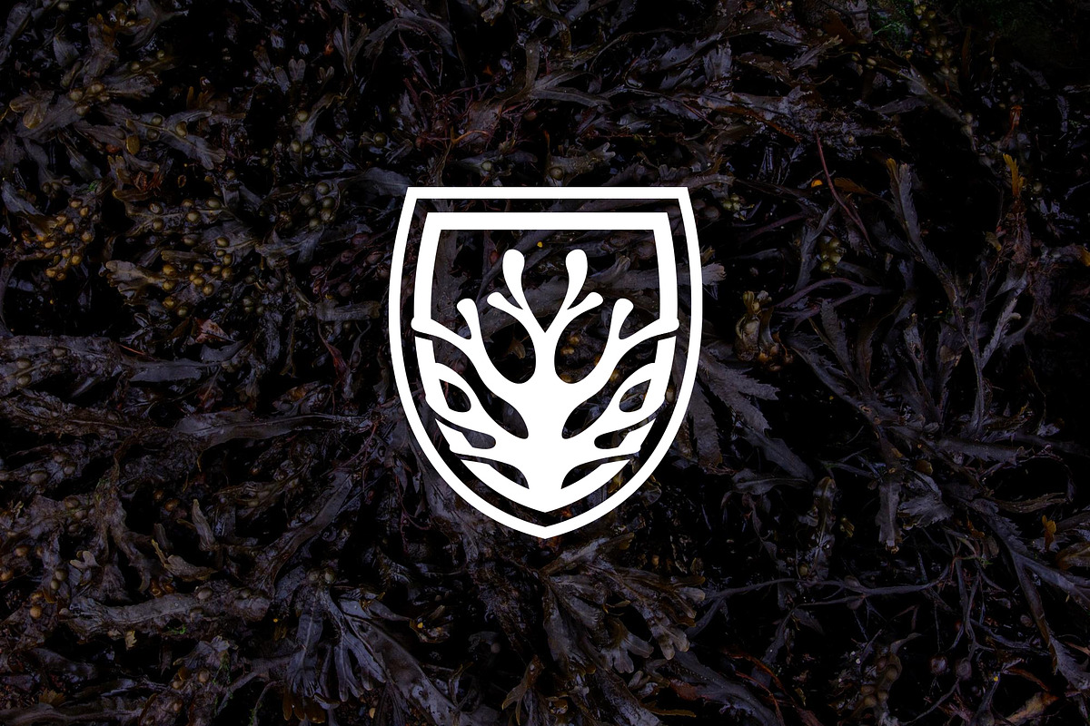 Minimalist Nature Shield Logo, a Branding & Logo Template by Luxury Logos (Photo 2 of 4)