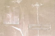 Partial View - Nature Backgrounds, a Background Graphic by Purple (Thumbnail 10 of 12)