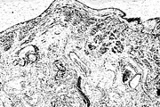 Lilliputian, a Texture Graphic by Jennifer Lauren Creative (Thumbnail 15 of 28)
