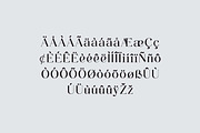Banfishery Classic Serif Font, a Serif Font by UICreative (Thumbnail 10 of 14)