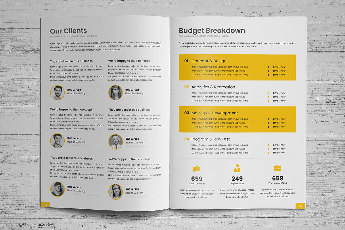Project Business Proposal v5, a Brochure Template by Miyaji75 (Photo 9 of 18)