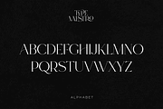 SALE! Type Maestro -  serif font, a Serif Font by VP Fonts (Thumbnail 10 of 25)