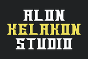 Davinci, a Serif Font by alon kelakon (Thumbnail 4 of 6)
