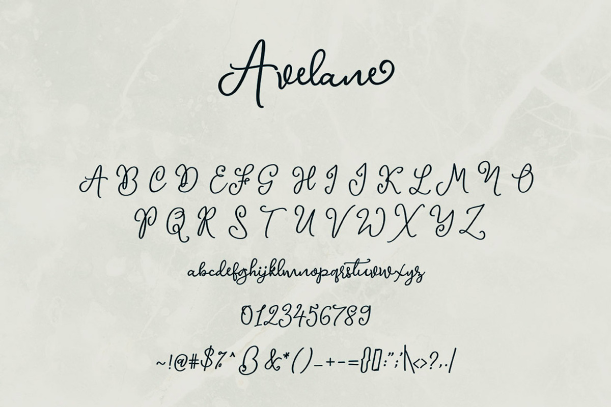 Avelane Script Font preview 5