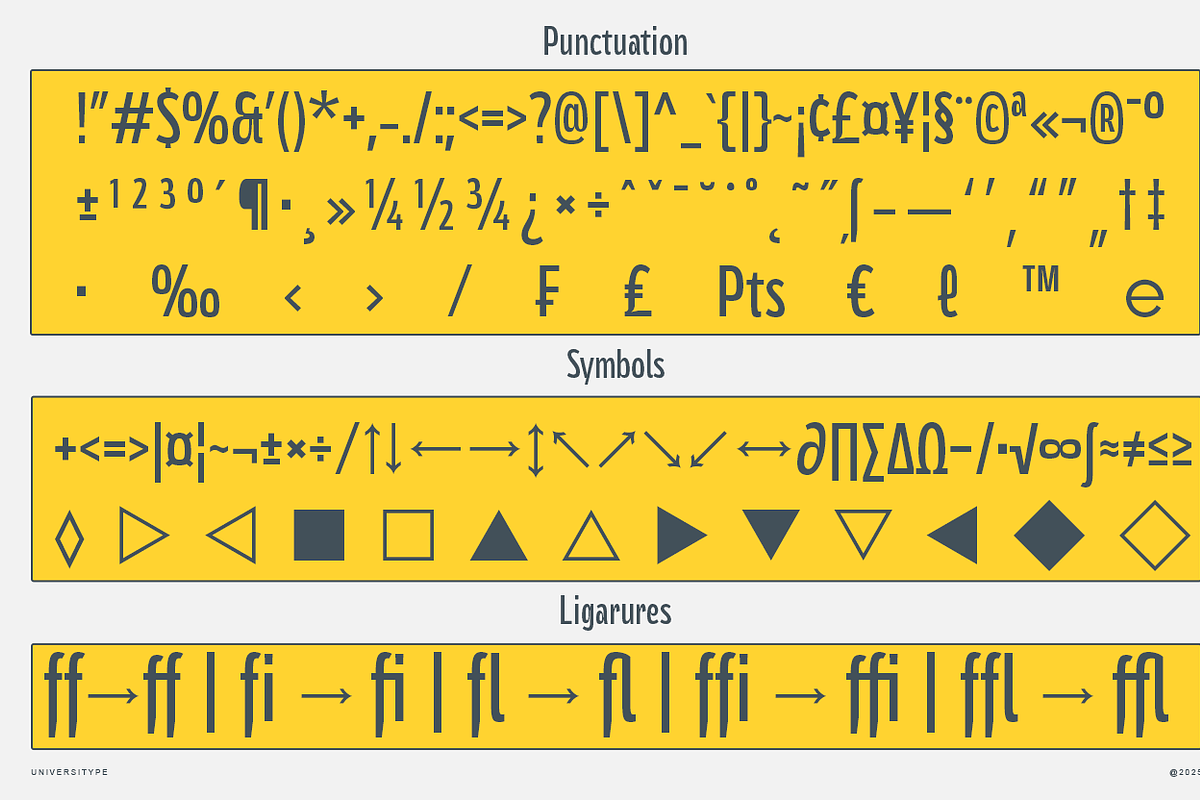 UT Polnuma - A Modern Sans Serif, a Sans Serif Font by Universitype (Photo 7 of 12)