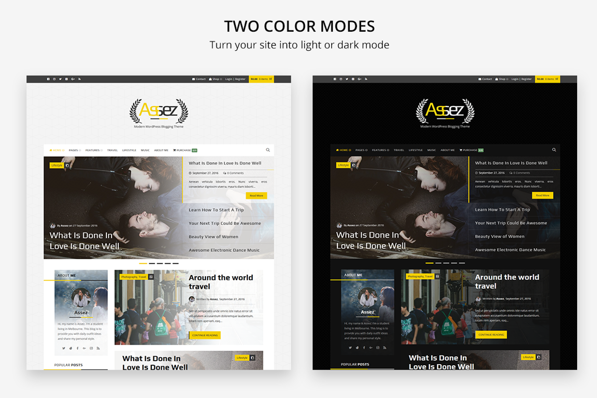 Assez | Modern Blogging Theme, a WordPress Template by PalThemes (Photo 5 of 7)