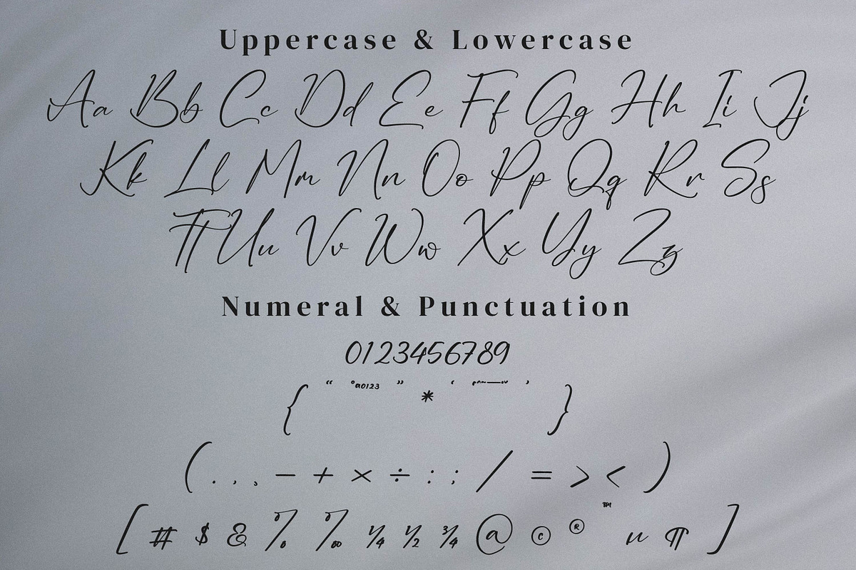Ruliena, a Script Font by Integritype Studio (Photo 9 of 15)