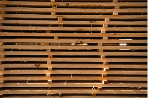 Horizontal stack of timber boards, an Industrial Photo by volodymyrshtun13795