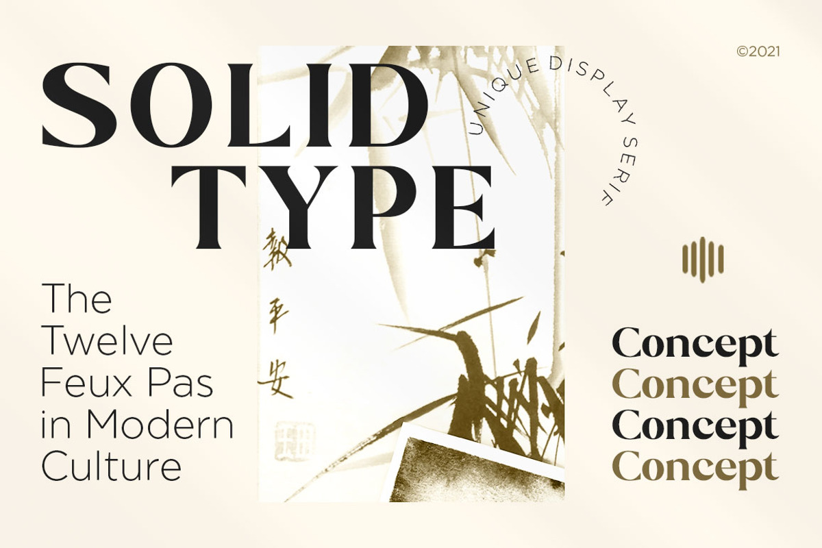 Stiepa | Modern Serif & Sans, a Serif Font by Dora Typefoundry (Photo 27 of 28)