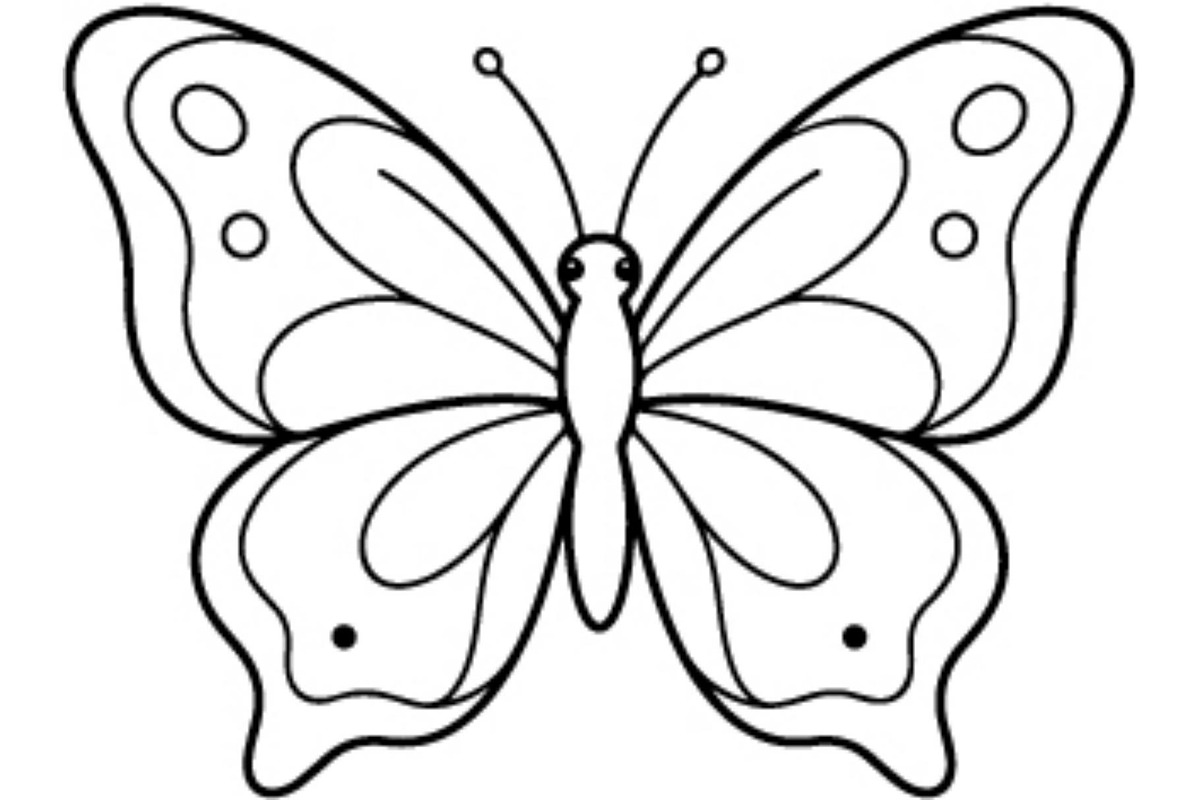 Butterfly SVG Bundle, an Object Graphic by Gfx_Store (Photo 6 of 16)