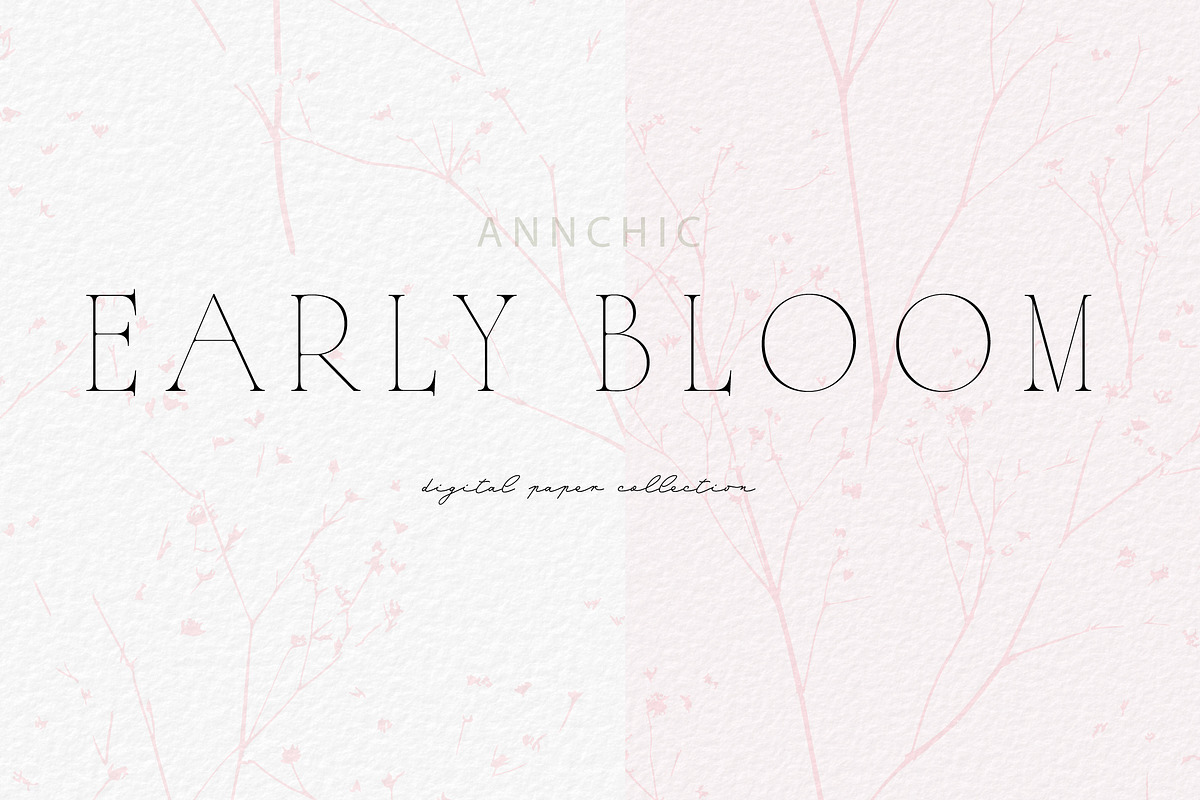 Botanical Background Collection, a Background Graphic by Anna Sokol (Photo 6 of 14)