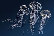 JELLYFISH set, an Animal Illustration by Tanya Akhmett (Thumbnail 2 of 6)