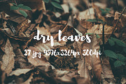Dry leaves, a Templates & Theme by ApertureVintage (Thumbnail 16 of 16)
