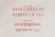 Saber - Elegant Serif Font, a Serif Font by Aqeel_Art (Thumbnail 12 of 13)
