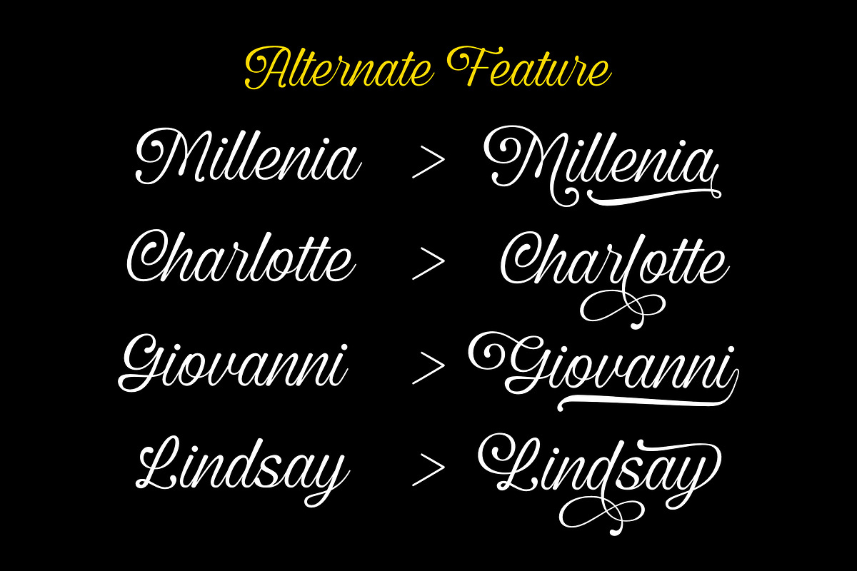 Vintage Millenia - Classic Script, a Script Font by Grezline Studio (Photo 10 of 12)
