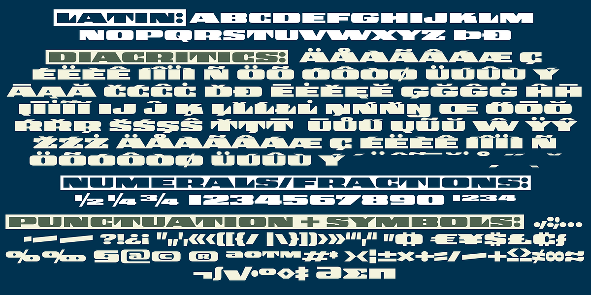 Banknote 1948, a Sans Serif Font by ingoFonts (Photo 6 of 6)