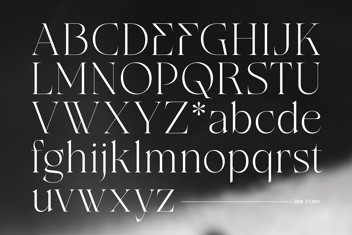 Rocen VF - Variable Display Serif, a Serif Font by Sign Studio (Photo 14 of 16)