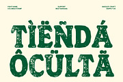 CS Limau Stamp, a Slab Serif Font by Craft Supply Co. (Thumbnail 7 of 8)